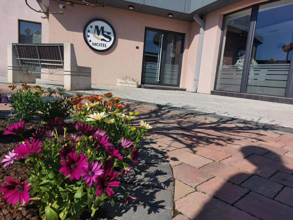 Motel Ms Srpski Itebej Exterior foto